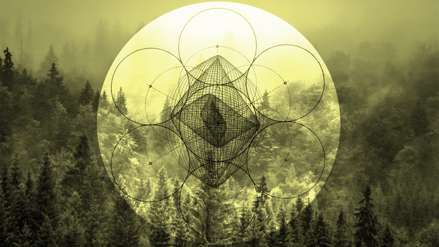 Bertrand Wolff, François Rossi, Damien Ravnich — GMEM Marseille