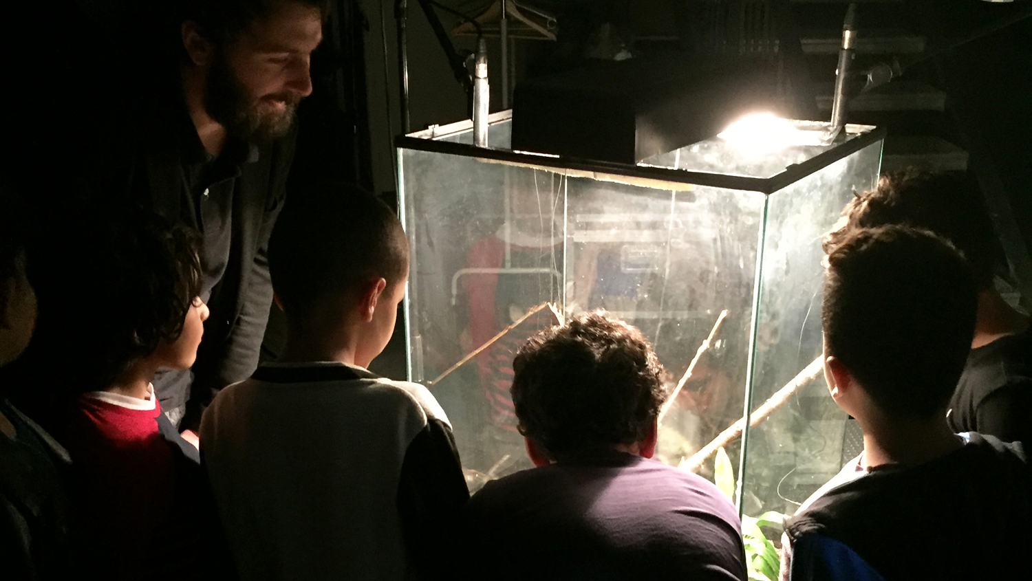 Improviser avec le vivant — GMEM Marseille