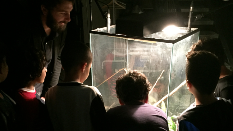 Improviser avec le vivant — GMEM Marseille