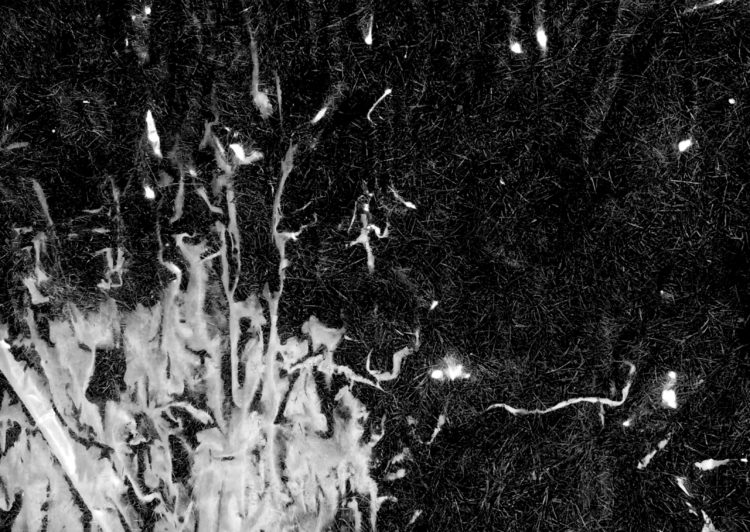 Xavier Charles, Compagnie Roland furieux — GMEM Marseille