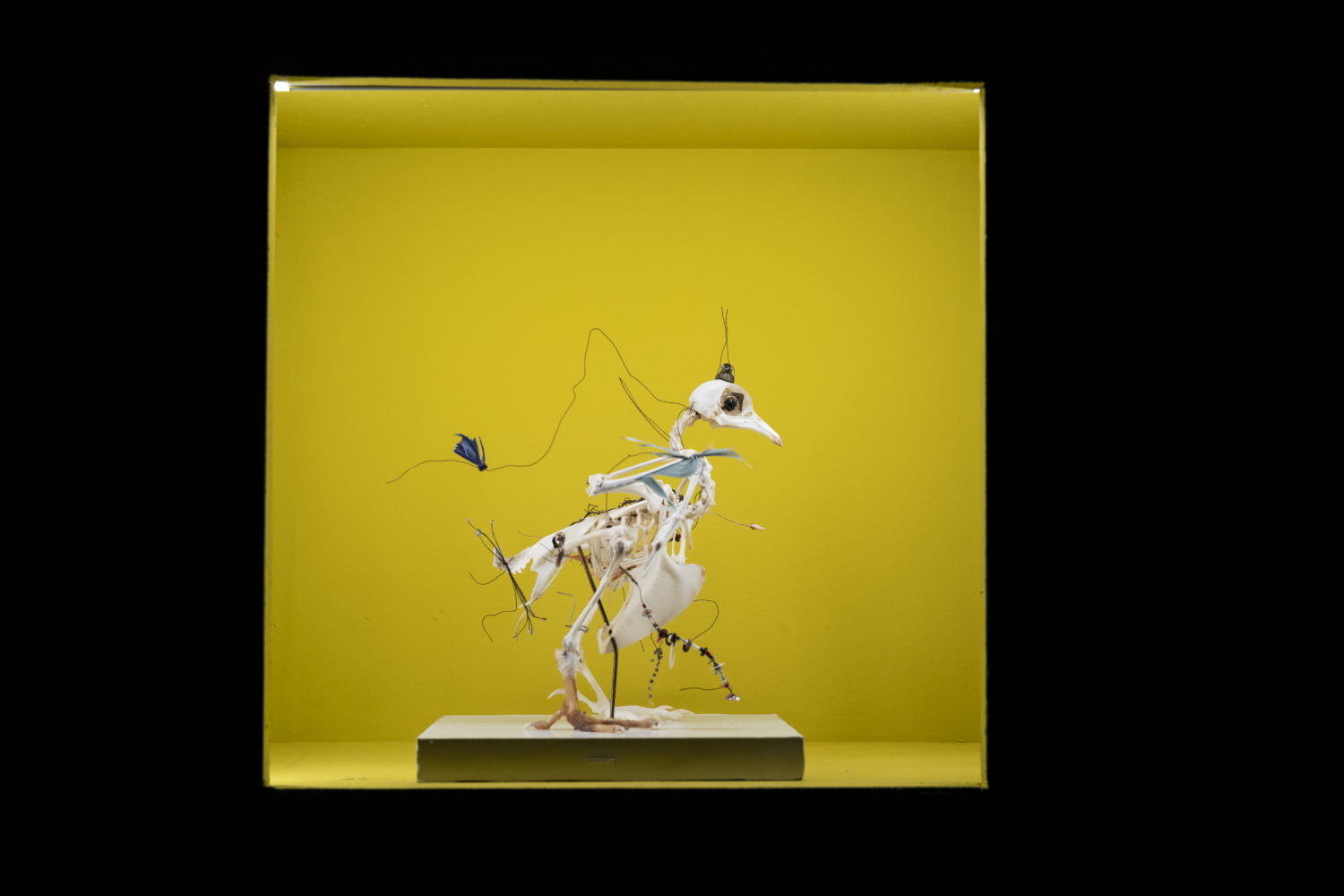 Trouble fête, collections curieuses et choses inquiètes — GMEM Marseille