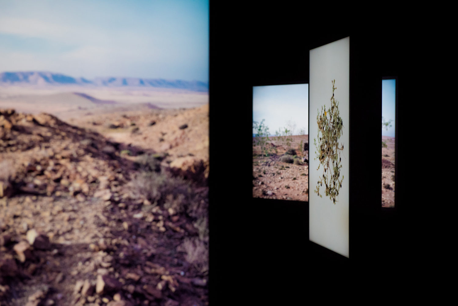 Abdessamad El Montassir — GMEM Marseille