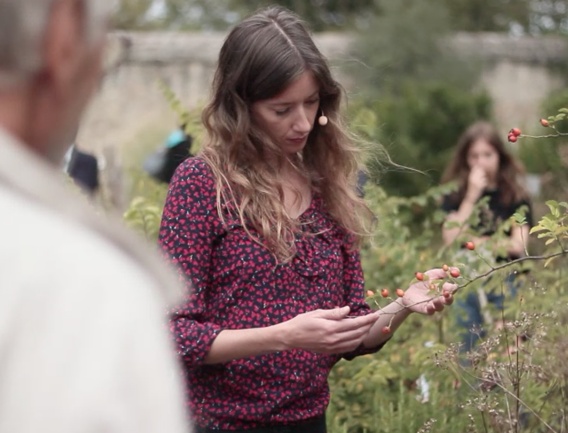 [ ANNULÉ ] Éloge de la plante — GMEM Marseille
