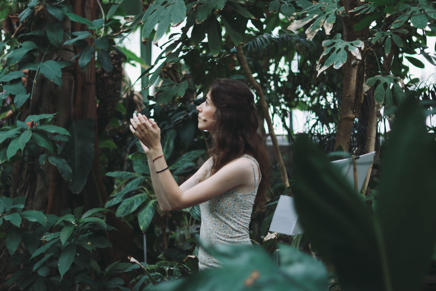 [ ANNULÉ ] Éloge de la plante — GMEM Marseille