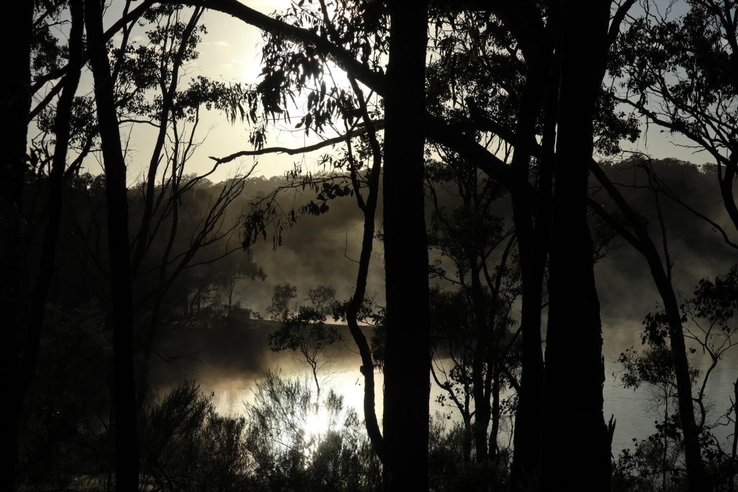 [ ANNULÉ ] Fata Morgana’ — GMEM Marseille