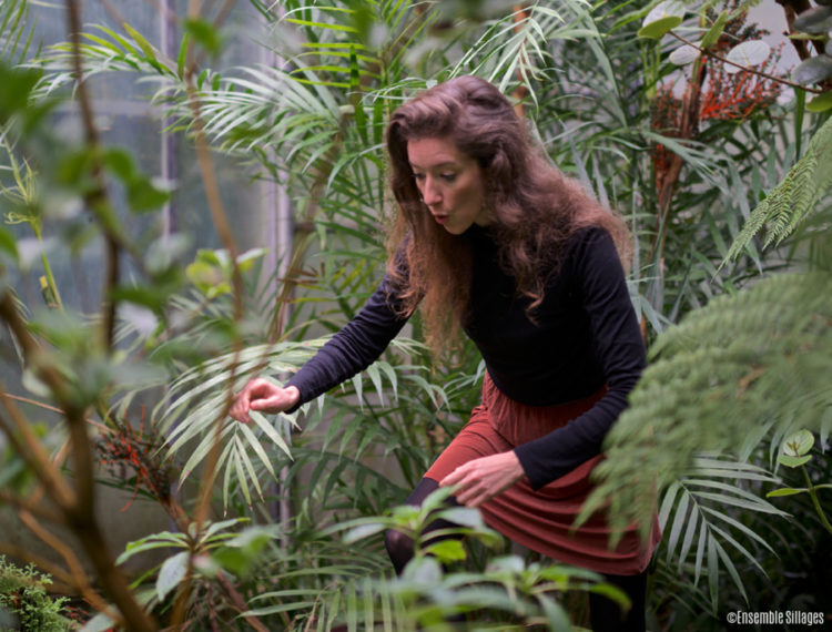 [ ANNULÉ ] Éloge de la plante — GMEM Marseille