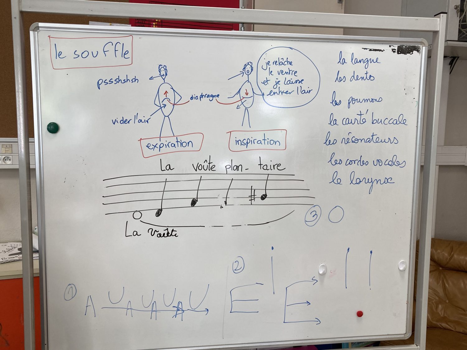 Courbes de printemps — GMEM Marseille