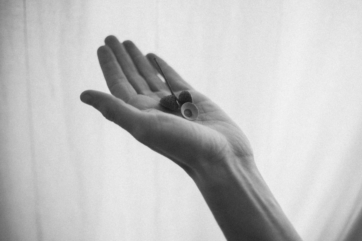 Myriam Pruvot — GMEM Marseille