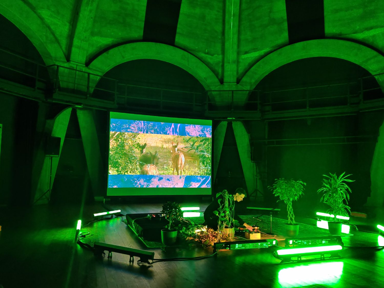 Lion’s Drums — GMEM Marseille