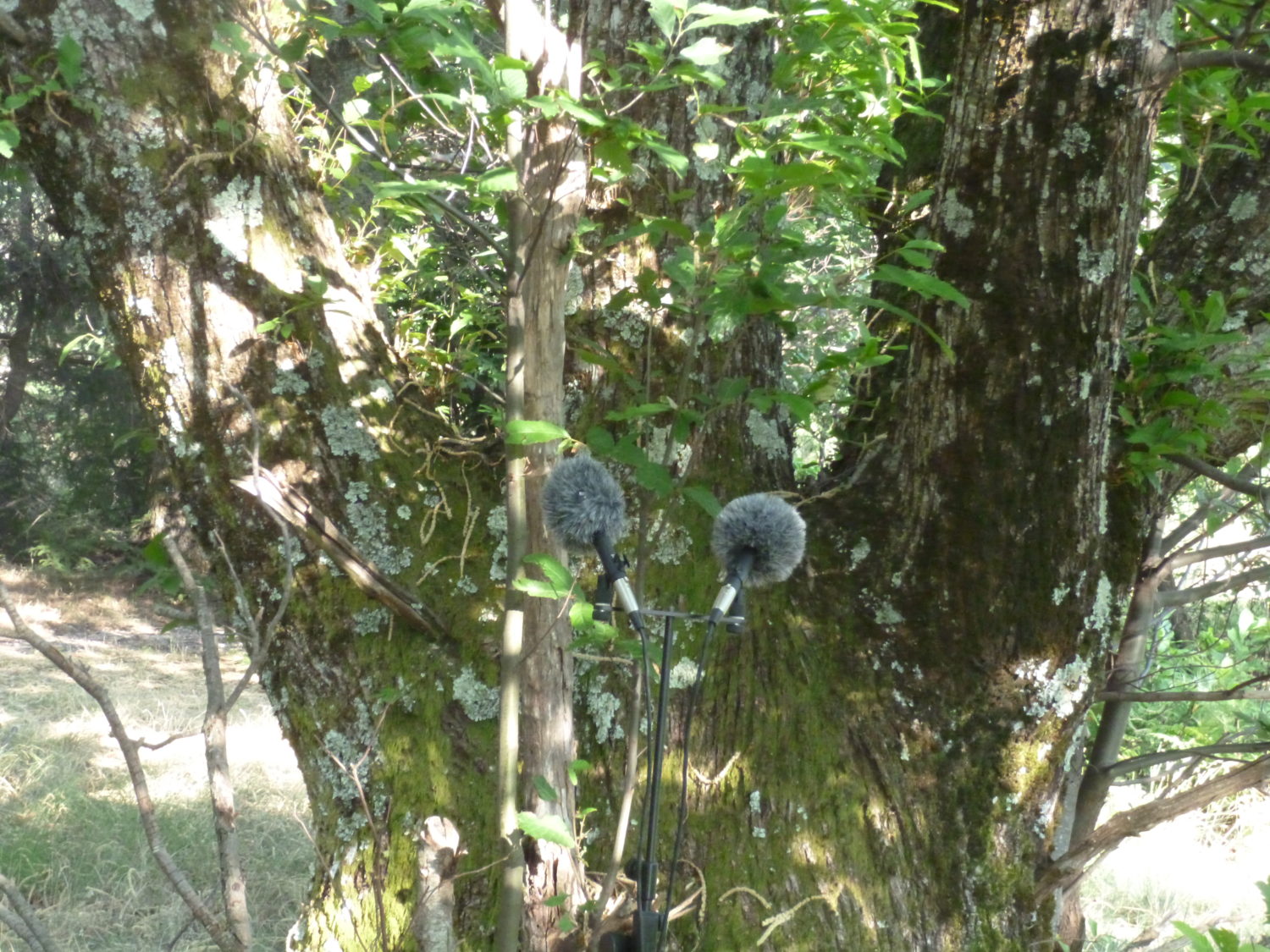 Deborah Walker, Marie-Hélène Bernard — GMEM Marseille