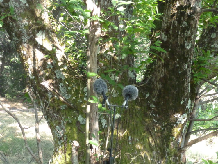 Deborah Walker, Marie-Hélène Bernard — GMEM Marseille