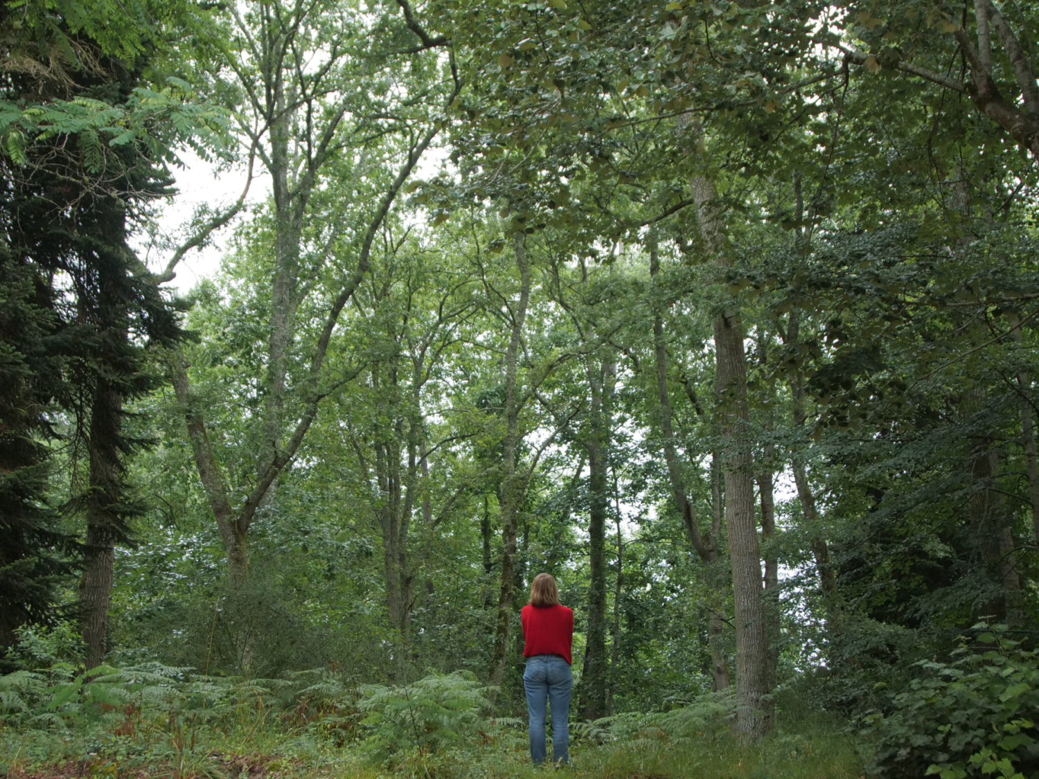 Gaël Tissot, Thérésa Berger, Matthias Berger — GMEM Marseille