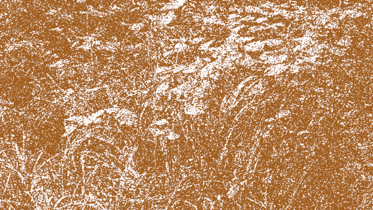 TOPOS – Biotope — GMEM Marseille