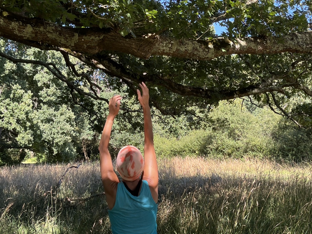 Embrasser un arbre, embrasser le temps — GMEM Marseille